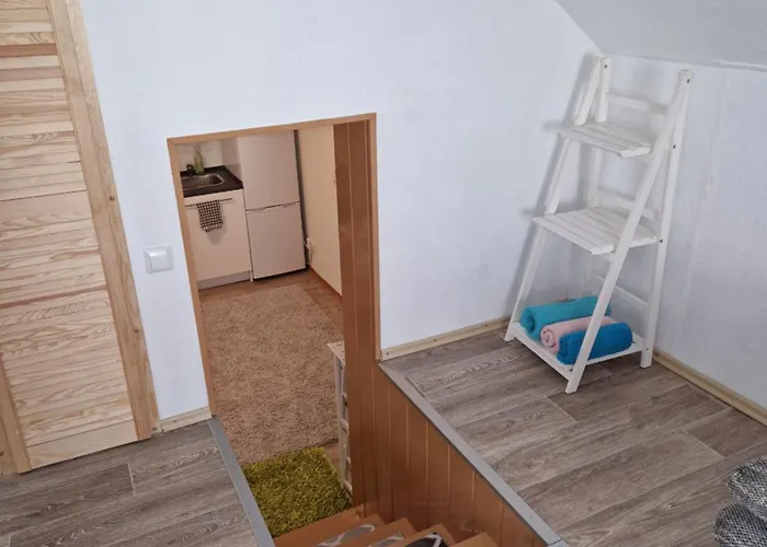 Lilie 博登斯边的拉多夫采尔